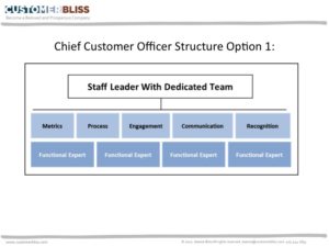 CCO Structure - Option 1: Staff with Dedicated Team