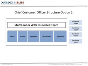 Chief Customer Officer Structure - Option 2: Staff Leader with Dispersed Team