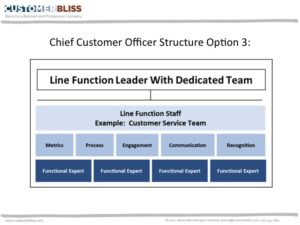 Chief Customer Officer Structure: Option 3 - Line Function Leader with a Dedicated Team