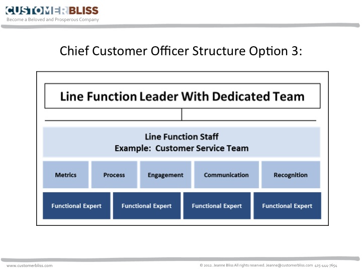 example model business process of Structure 3: & CCO Leader  Team Option Line Function with