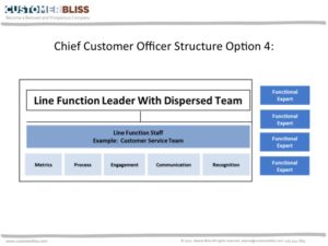 Chief Customer Officer Structure: Option 4 - Line Function Leader with Dispersed Team