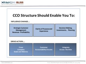 Structuring the Chief Customer Officer Role and Team 