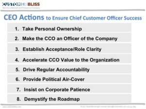 CEO Actions to Ensure CCO Success