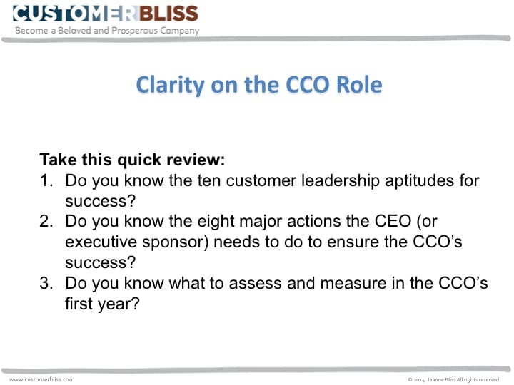 Clarifying the Leadership Function of the Chief Customer Officer ...